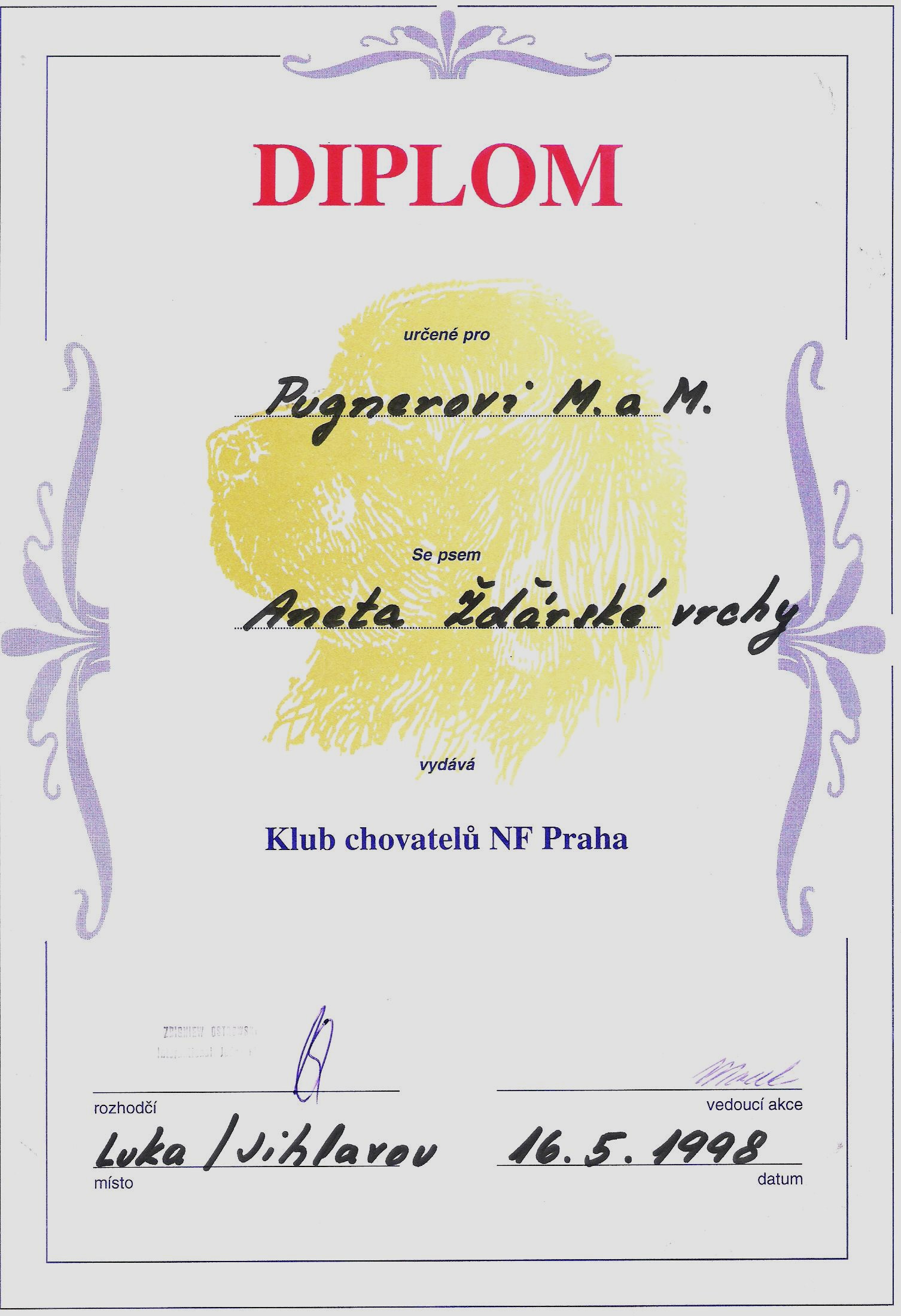 diplom anetky2 001.jpg