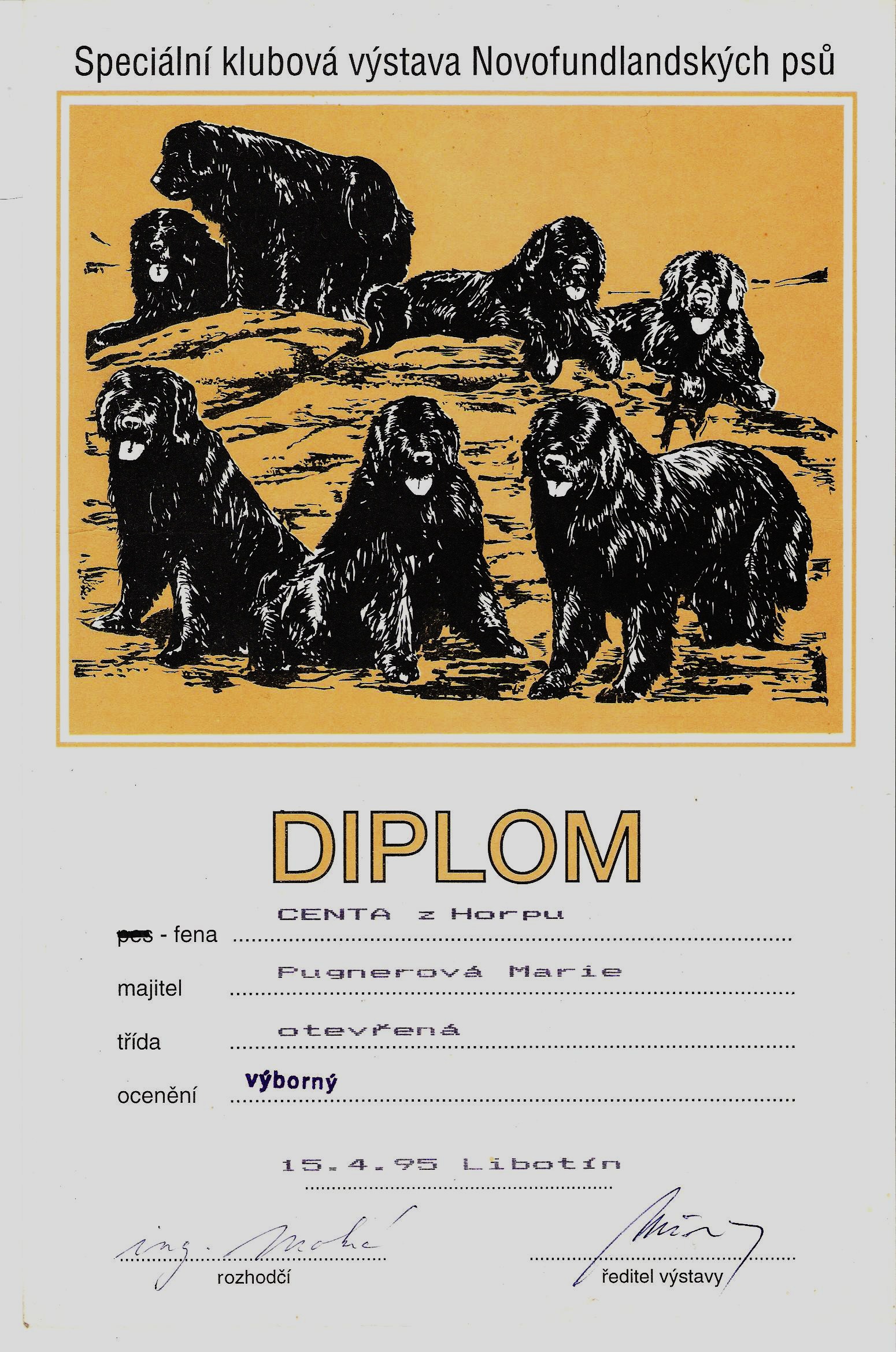 diplom centy 001.jpg
