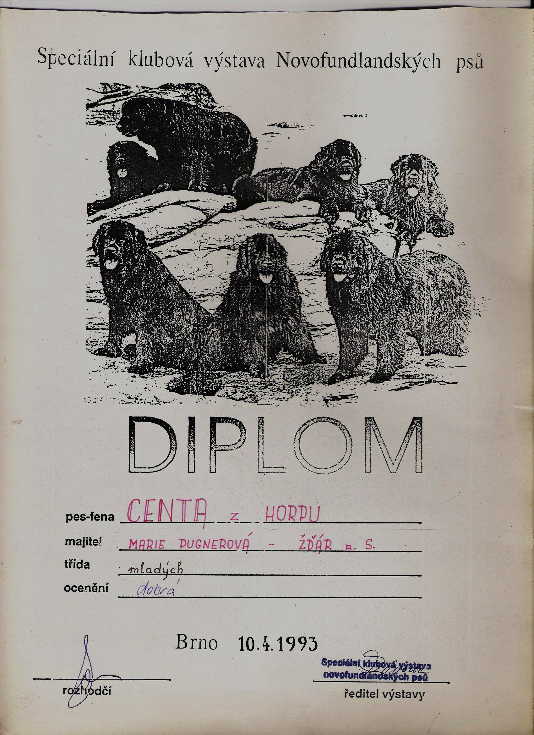 diplom centy4 001.jpg